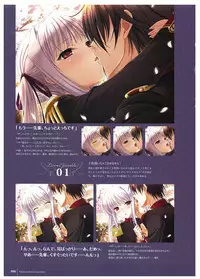 Walkure Romanze Visual Fan Book