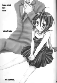 (C74) [PONCHEES (Kari) (Irohane Sui, Mitsubachi)] SLR (Bleach) [English] [SaHa] [Incomplete]