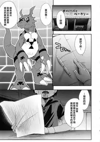 (C95) [Karakishi Youhei-dan Shinga (Sahara Wataru)] Boku no Kangaeta Ecchi na Ruki (Digimon Tamers) [Chinese] [罗洁爱儿个人机翻]