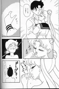 [Chandora, LUNCH BOX (Makunouchi Isami)] Lunch Box 6 - Usagi (Bishoujo Senshi Sailor Moon)