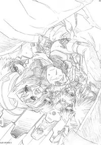 (C82) [PHYSALIS (Seresu)] LN03 (Mahou Shoujo Lyrical Nanoha)