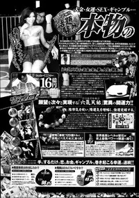 COMIC Potpourri Club 2013-11