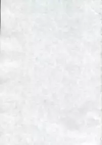 (C77) [THIRD BRAND (Katsumata Kazuki)] Hatsujouki no Sugoshikata. (Anyamaru Tantei Kiruminzoo)