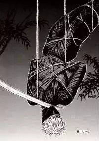 [Fuzoku Kugayama Kindergarden (Kugayama Rikako)] White Album Unison (White Album)