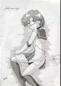 (C43) [METAL Bunshitsu] Getsugetsukaasuimokukinkin (Bishoujo Senshi Sailor Moon)