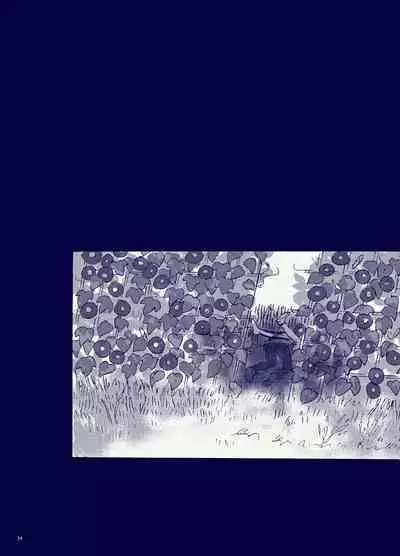 Miteita no wa Asagao dake - I want to watch only the morning glory.