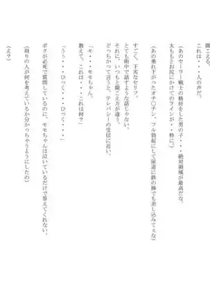 男の娘セーラー戦士W