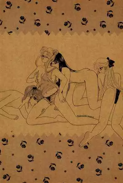 (C44) [M.C.B (Various)] Tsuki no Ura no Labyrinth (Sailor Moon)