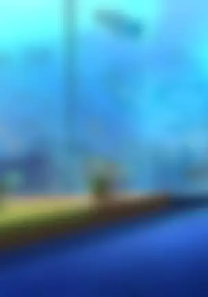 HuniePop 2 Double Date CG Asset Rip