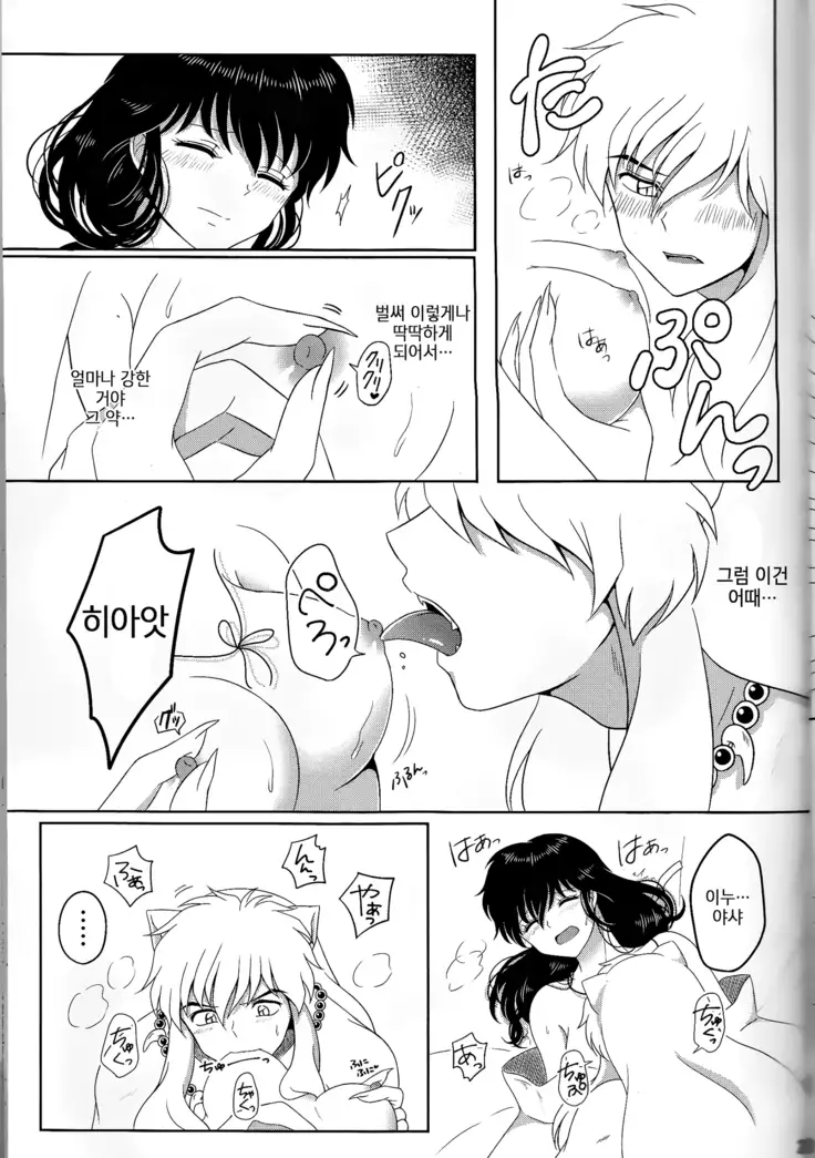 Koi Gusuri - Love drug | 사랑의 묘약