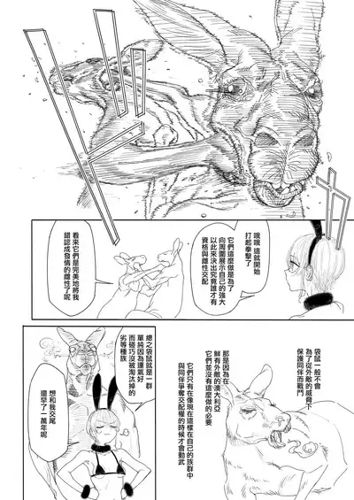 Kangaroo no Kimochi Ii