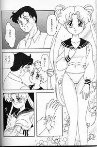 [Chandora, LUNCH BOX (Makunouchi Isami)] Lunch Box 6 - Usagi (Bishoujo Senshi Sailor Moon)