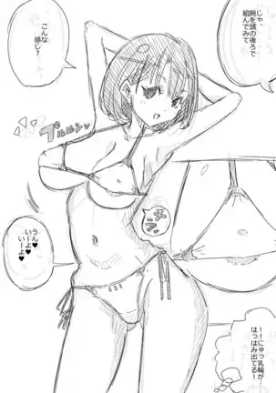 Rakugaki Manga Gravure Satsuei