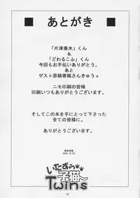 (CR36) [EKAKIGOYA NOTESYSTEM (Nanjou Asuka)] Twin's-KITSCH (Itazura Koneko Twins)