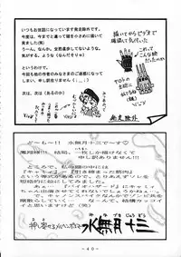 (CR22) [White Elephant (Various)] Cammy Sousa Kannou Shashinshuu (Street Fighter)