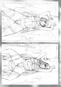 (C75) [AKKAN-Bi PROJECT (Yanagi Hirohiko)] Queen's Blast (Queen's Blade)