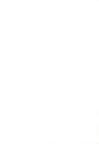 (C56) [Sadakichidou, SEE-SAW (Yamamoto Sadakichi)] Himitsu Nikki