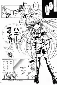 (C70) [Solex (Minamita Kana, Sanomako, Toku)] Rurimix SP5 (Various)