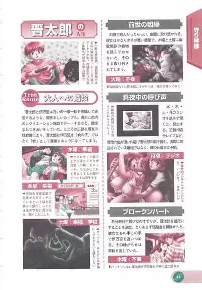 Official Alicesoft Full Completion Guide 2 (PC-CUPID)