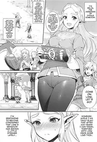 (C93) [Morittokoke (Morikoke)] Hyrule Hanei no Tame no Katsudou! | Activities for the Sake of Hyrule’s Future! (The Legend of Zelda) [English] {darknight}