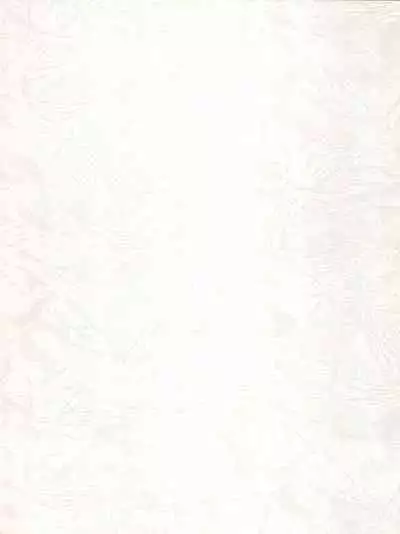 [Monmontei (Various)] MoN MoN Vol. 5 (Dirty Pair, Urusei Yatsura, Zeta Gundam)