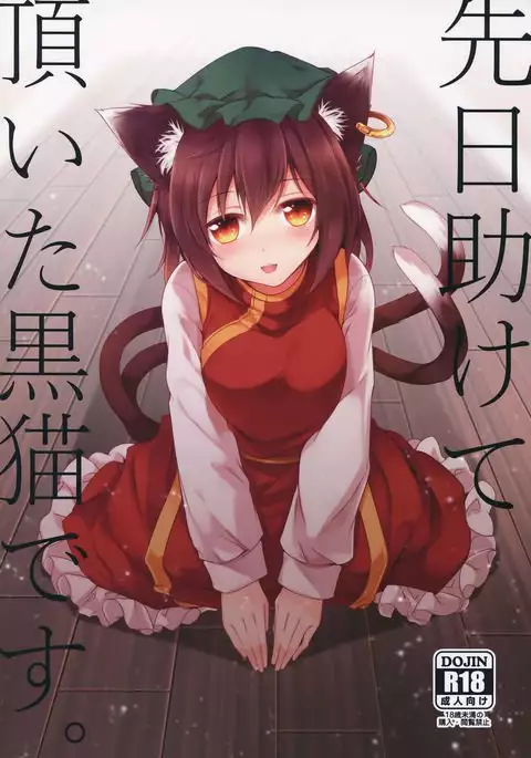 Senjitsu Tasukete Itadaita Kuroneko desu. | I'm the Black Cat You Helped Out the Other Day.