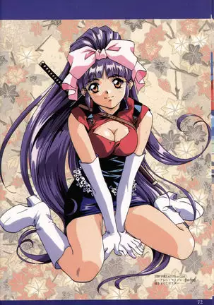 Injuu Gakuen You no Shou Secret File