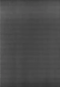 Tokidoki Dokidoki Doki