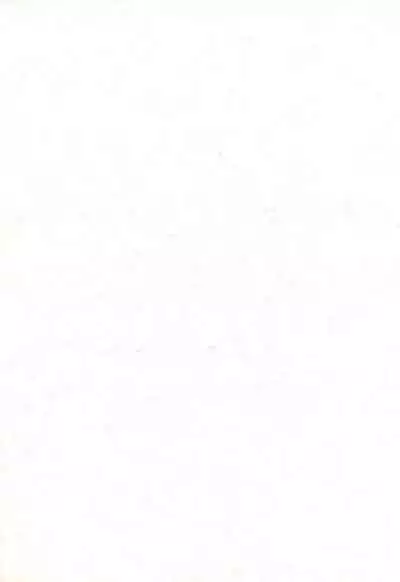 (C56) [Sadakichidou, SEE-SAW (Yamamoto Sadakichi)] Himitsu Nikki