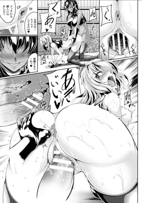 Seigi no Heroine Kangoku File Vol. 11