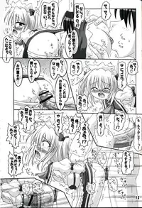 (C75) [Schwester (Inasaki Shirau)] Souda Chireiden Ikou! (Touhou Project)