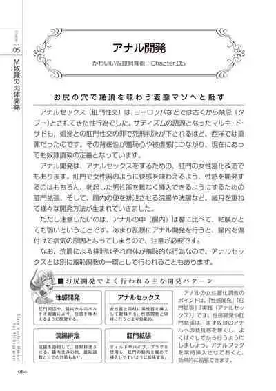 Zero kara Hajimeru SM Manual Kawaii Dorei Shiikujutsu