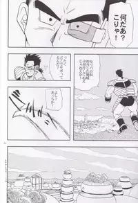[Chirigami Goya, Fusuma go Ten (Shoji Hariko, Kuri)] Wakayo (Dragon Ball)