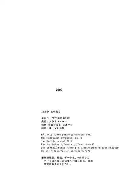 [Noraneko-no-Tama (Yukino Minato)] Tamaya 30-ppatsu-me [Digital]