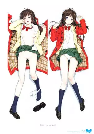 八宝備仁画集 紅蝶（ほてり）