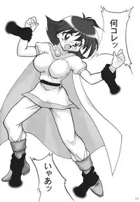 [Ginmomodou (Mita Satomi)] SLAYERS ADULT 10 (Slayers) [Digital]