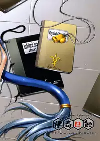 (COMIC1☆2) [Kaikinissyoku (Ayano Naoto)] Villetta Sensei ni Moeru Hon (Code Geass) [English] [Chocolate]