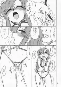 (C68) [EINSATZ GRUPPE (Charlie Nishinaka)] PRISONER 6 The song of the fake (Mobile Suit Gundam SEED Destiny)