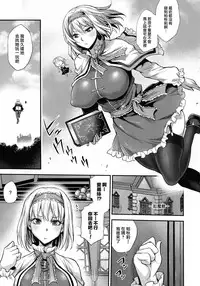 (C92) [Musashi-dou (Musashino Sekai)] Futa Patche 2 (Touhou Project) [Chinese] [无毒汉化组扶毒分部]