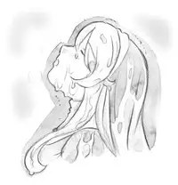 [pink-noise (Mizuiro Megane)] Holy&Beast ~Seijo to Ookami~ (Queen's Blade)