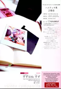 (C95) [viento campanilla (Suzuhane Suzu)] Cos wa Midara na Kamen -Hamecheki Shuu 2-satsume- (Fate/Grand Order) [Chinese] [新桥月白日语社]