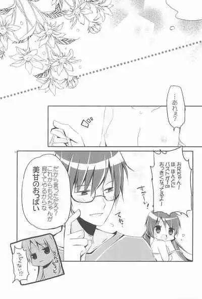 Sister Bouquet ROYAL