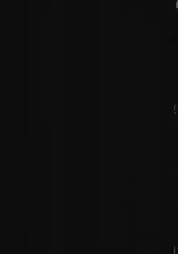 (C82) [Tougesakuraya (Yukian)] Kokomo Beach de Chinpira ni. (Ragnarok Online)