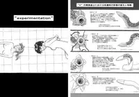 [Kasetsu Shirokuma (Yoi)] P045-02 Vanis Report