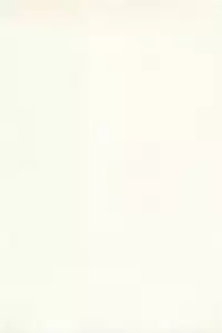 [Nagashima Chosuke] Sakuradoori no Megami - The Venus of SAKURA St. 1