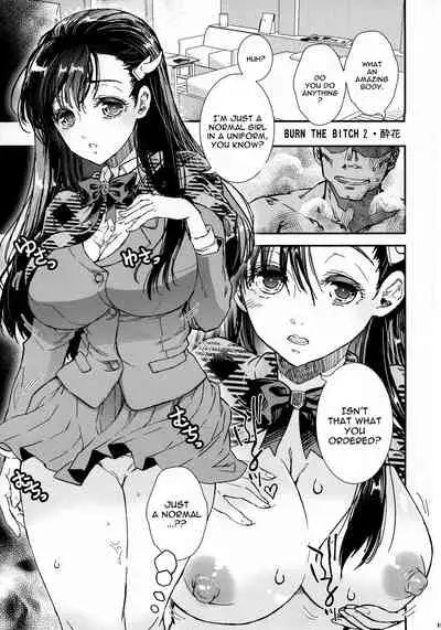 BURN THE BITCH II