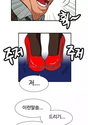 Chauffeur Service Ch.1-30.5