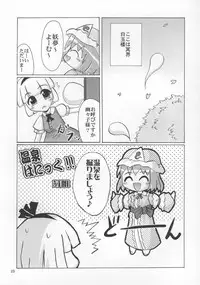 (C73) [Albatross (Mei, Nikusyo)] Yosuzume no Saezuri (Touhou Project)