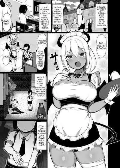 [Fry Dish (Jakko)] Goshujin-sama no Ochinchin wa Yuzurenai ~Succubus Maid to Nukirobo Maid~ [English] [Digital]