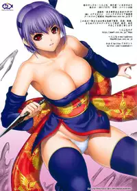 (C81) [Hellabunna (Iruma Kamiri)] H.SAS 04 (Dead or Alive) [English] [Kletian] [Decensored]